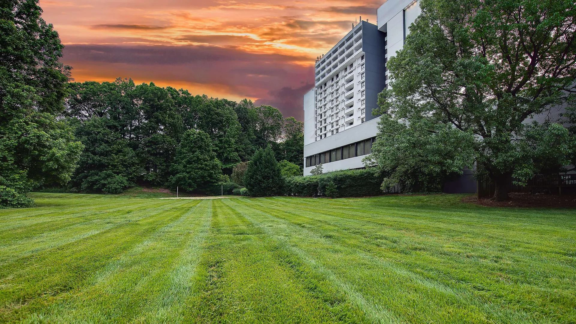 Sonesta Charlotte Lower South End location